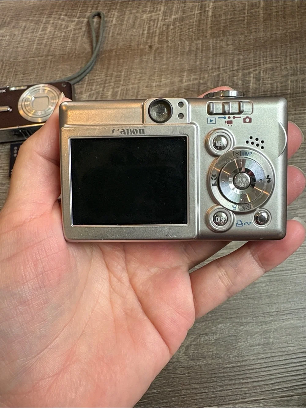 Panasonic lumix canon